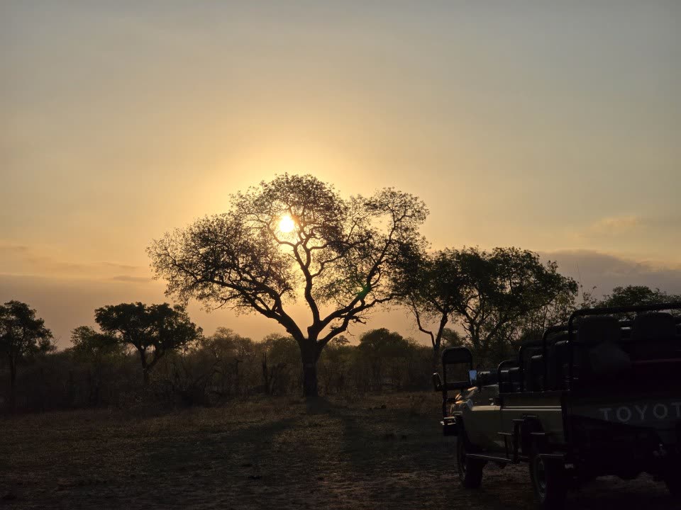 Cover image for the article Unplugged - A trip of a lifetime